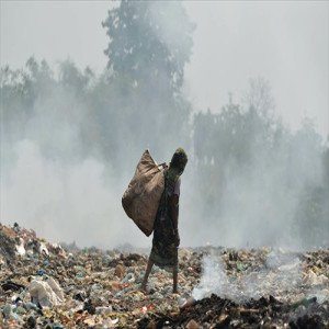 Environment